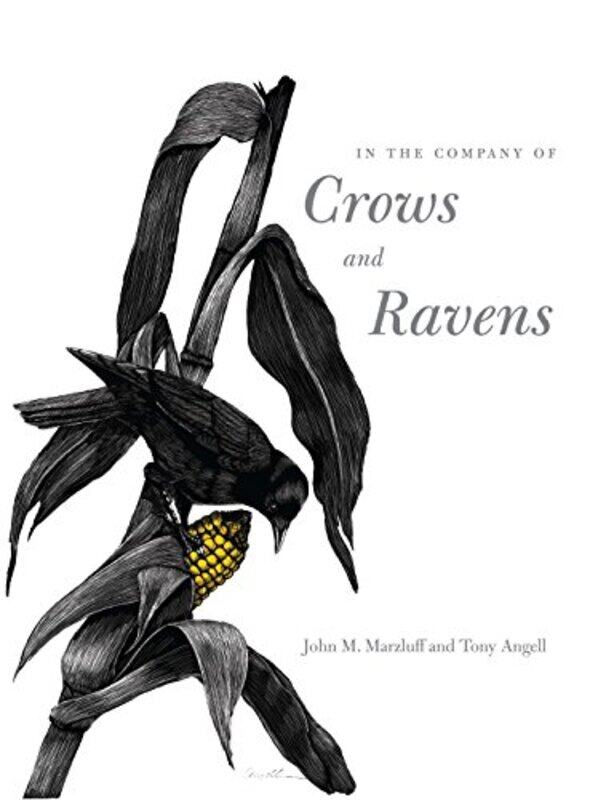 

In the Company of Crows and Ravens by Katie DalePaul Nicholls-Paperback