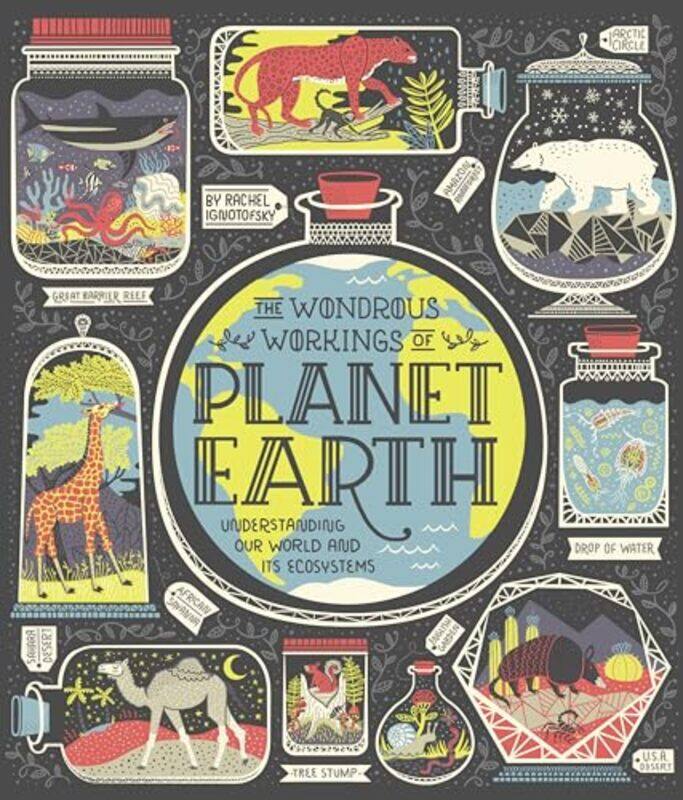 

The Wondrous Workings of Planet Earth by Jim Willis-Hardcover