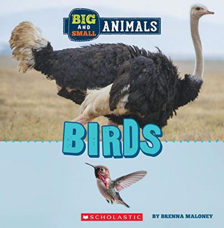 

Big And Small: Birds (Wild World),Paperback by Brenna Maloney