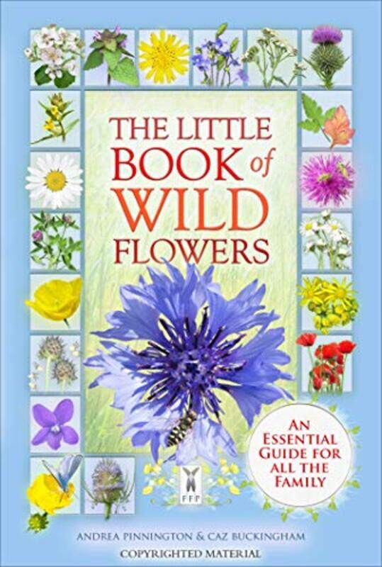 

The Little Book Of Wild Flowers,Paperback By Buckingham, Caz - Pinnington, Andrea