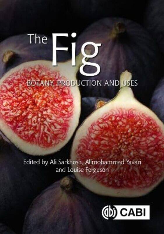 

The Fig by Joanne Berry-Hardcover