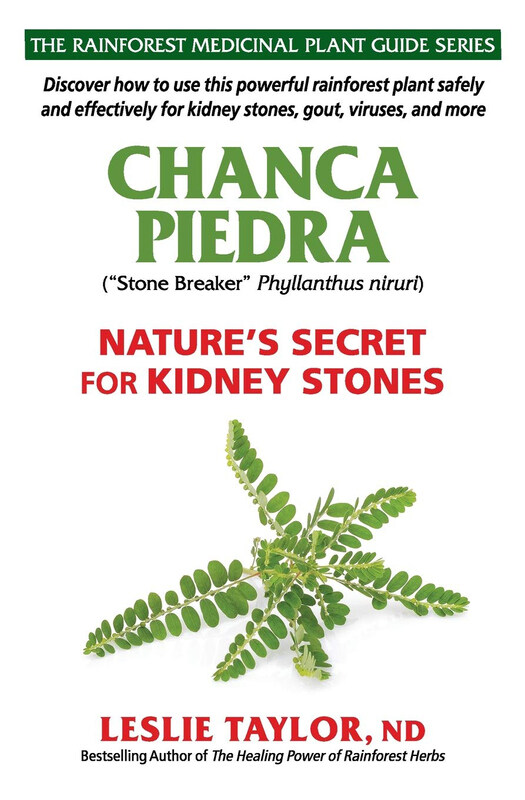 

Chanca Piedra: Nature's Secret For Kidney Stones, Paperback Book, By: Leslie Taylor