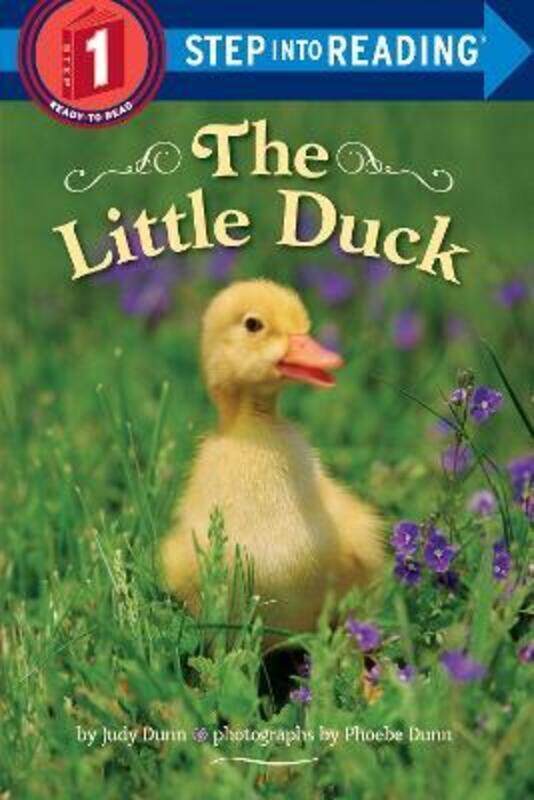 

The Little Duck