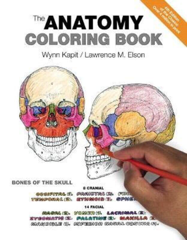 

Anatomy Coloring Book, The