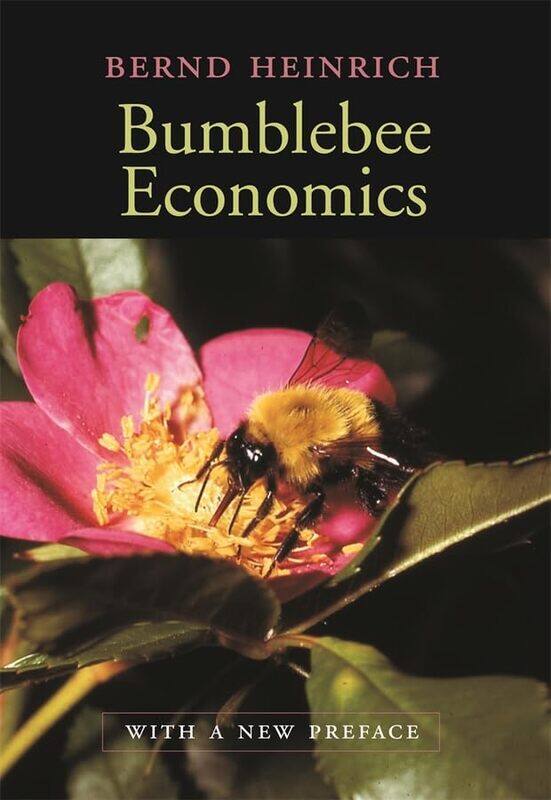 

Bumblebee Economics by Tshilidzi Univ Of Johannesburg South Africa Marwala-Paperback