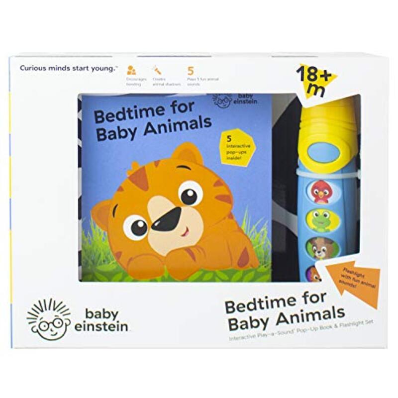 Baby Einstein Little Flashlight Box