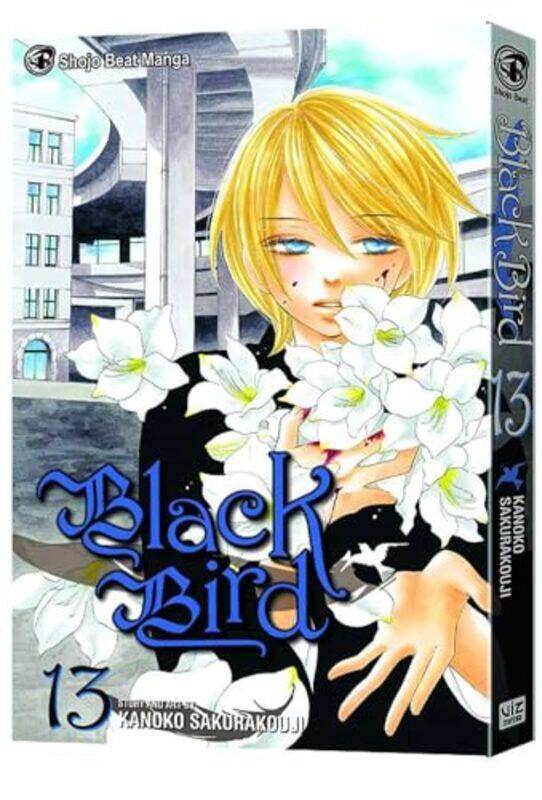 

Black Bird V13 By V13 - Paperback