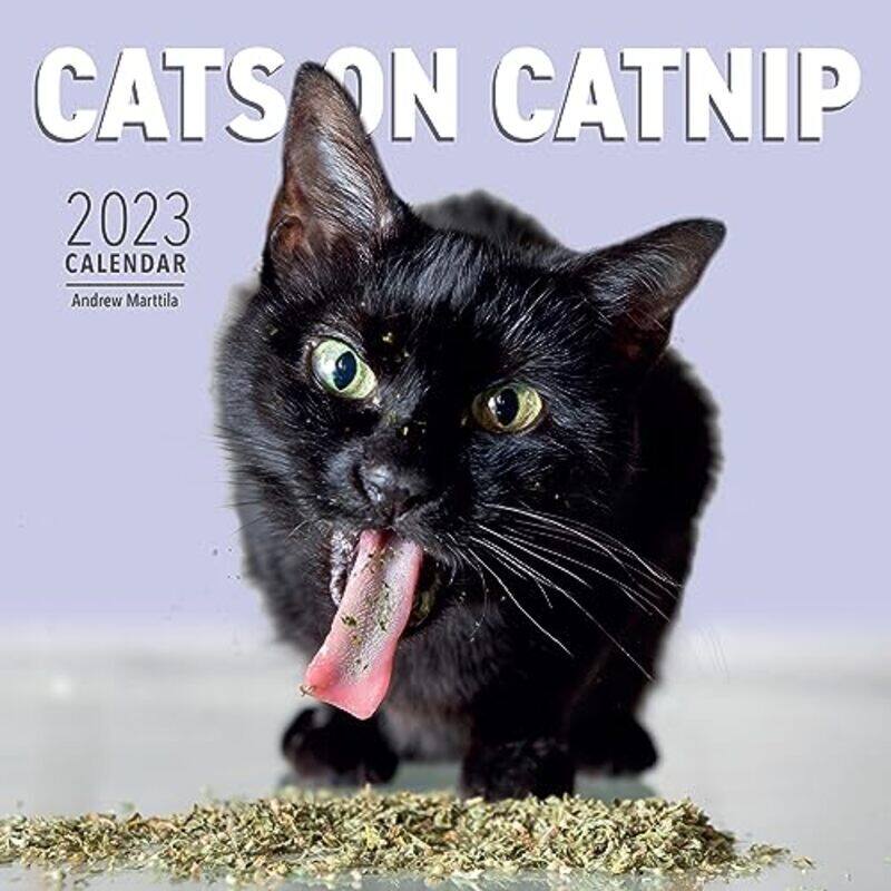 

Cats On Catnip Wall Calendar 2023 A Year Of Cats Living The High Life And Feeling Niiiiice By Marttila Andrew Workman Calendars Paperback