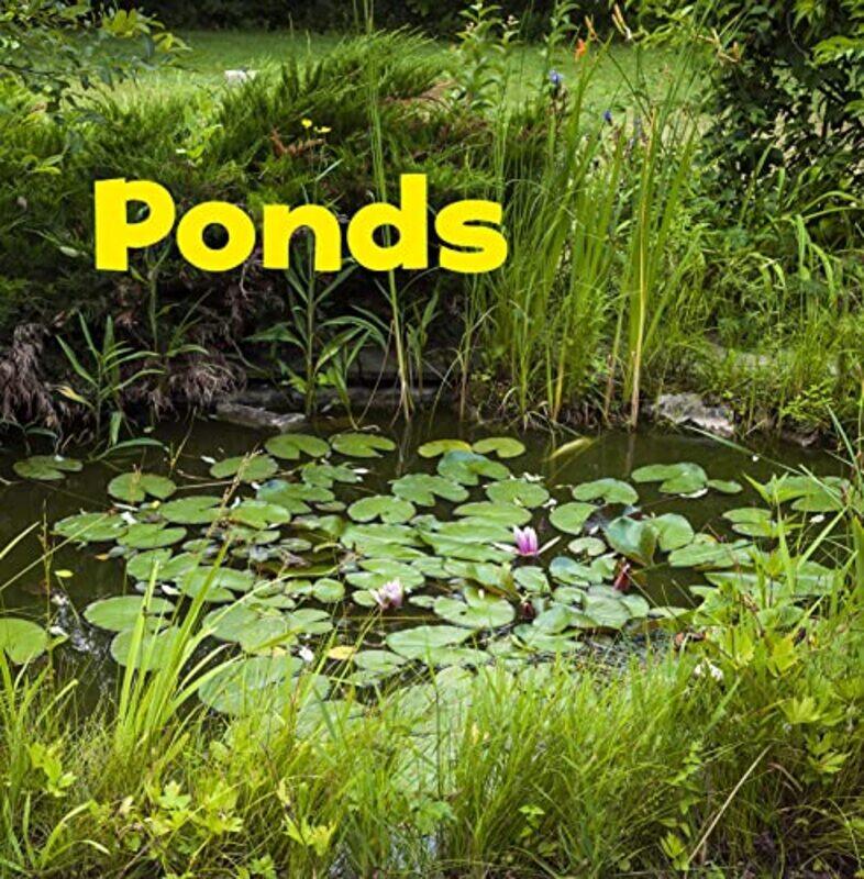 

Ponds by Erika L Digital Editor Shores-Paperback