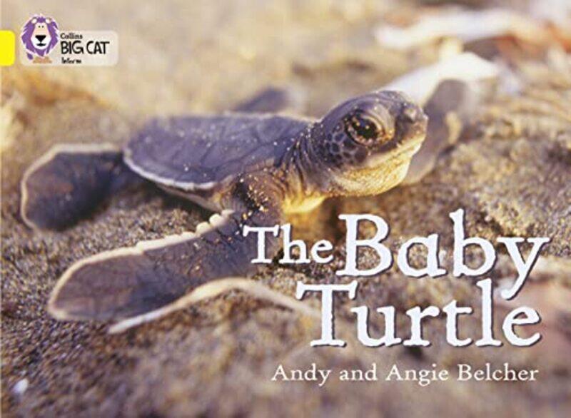 

The Baby Turtle by Oxlade Chris-Paperback