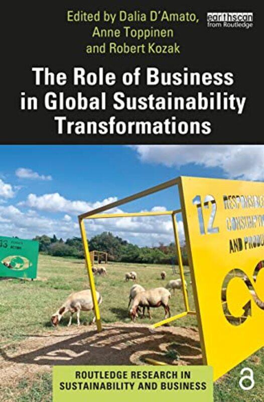 

The Role Of Business In Global Sustainability Transformations by Ram ChandraRC Sobti-Paperback