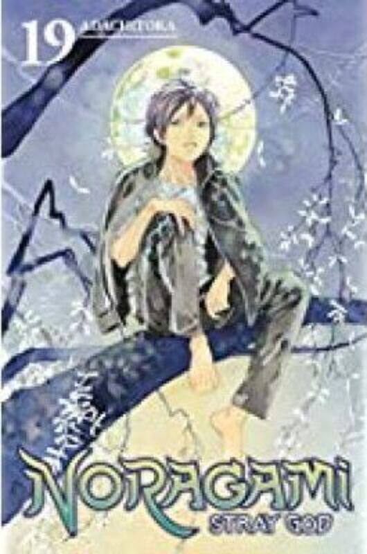 

Noragami: Stray God 19,Paperback,By :Adachitoka