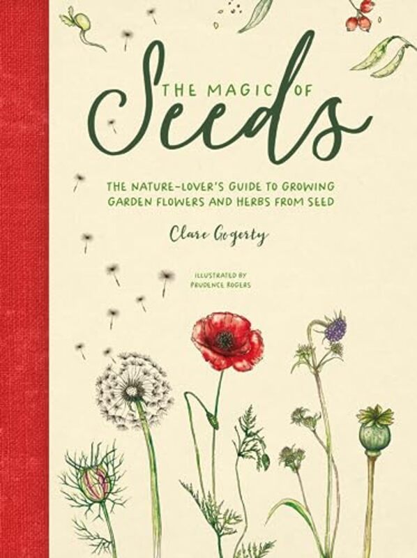 Magic of Seeds,Paperback by Clare Gogerty
