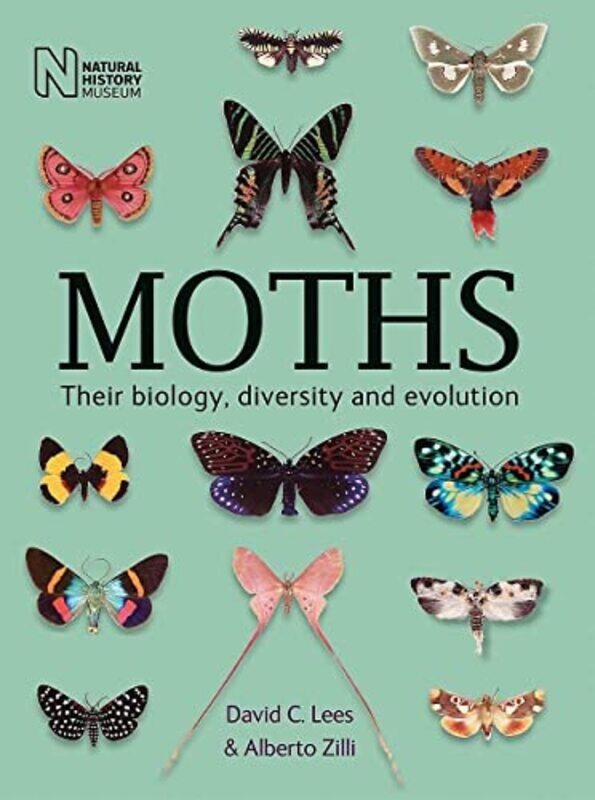 

Moths by Thomas K Adamson-Paperback