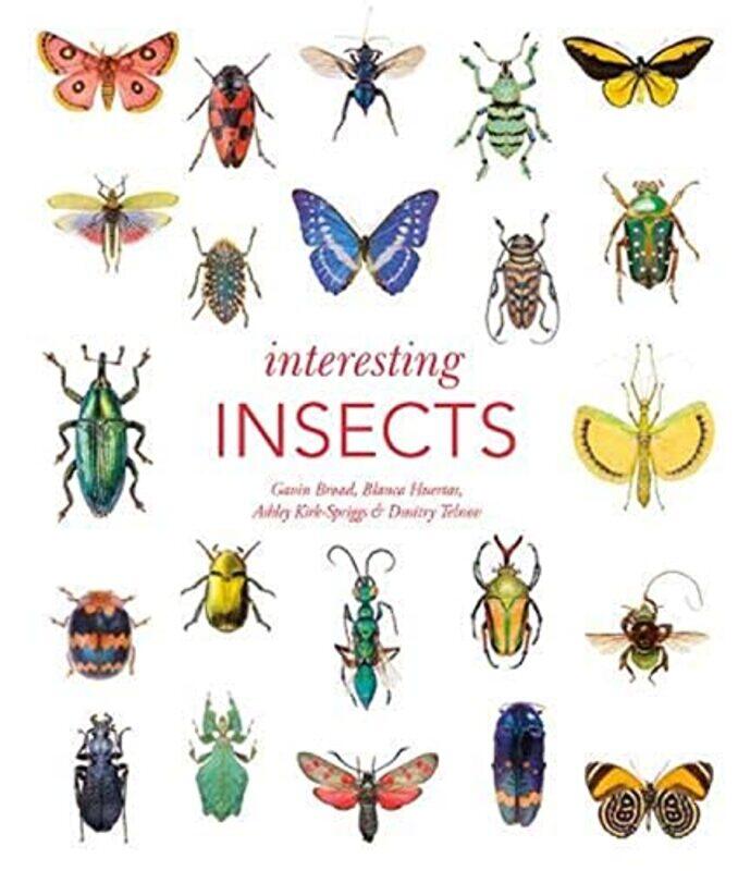 

Interesting Insects by Douglas Sean O'Donnell-Hardcover