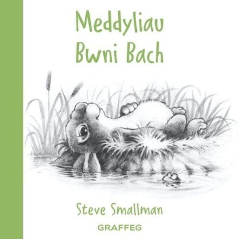 

Meddyliau Bwni Bach by Steve SmallmanAnwen Pierce-Hardcover