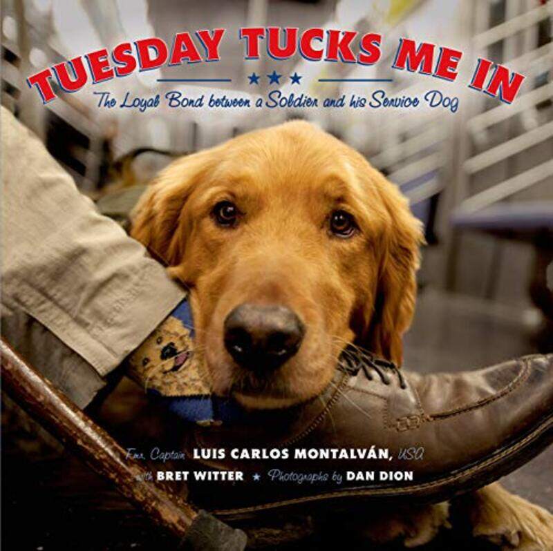 

Tuesday Tucks Me In By Dan -Paperback