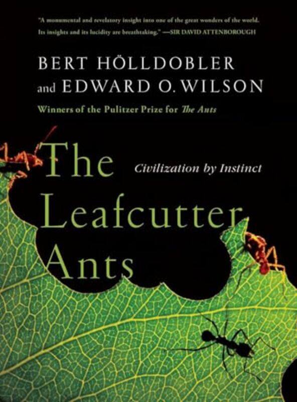 

The Leafcutter Ants by Lucy Webber-Paperback