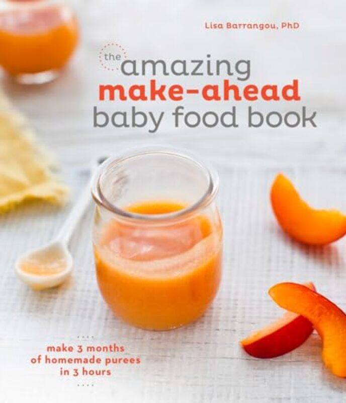 

The Amazing Makeahead Baby Food Book by Lisa-Paperback