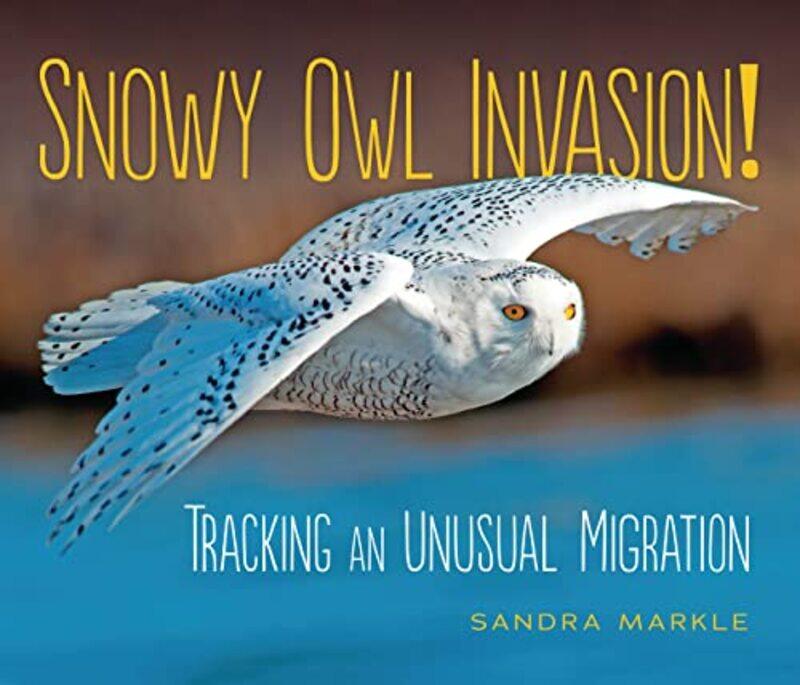 

Snowy Owl Invasion by Sandra Markle-Paperback