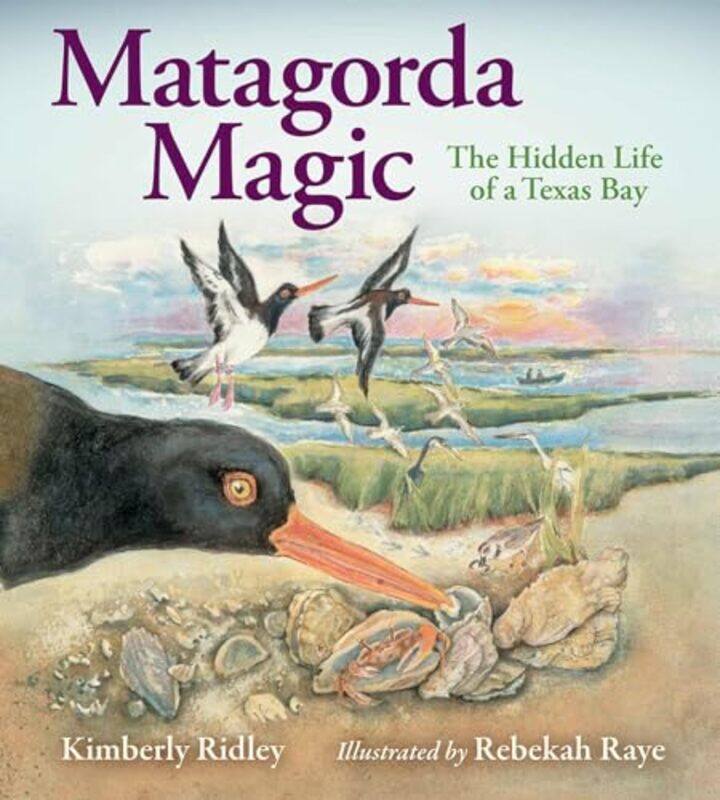 

Matagorda Magic by William T O'Brien-Hardcover