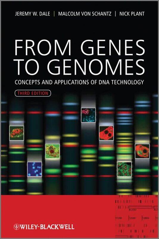 

From Genes to Genomes by Charles WildStuart Weinstein-Paperback