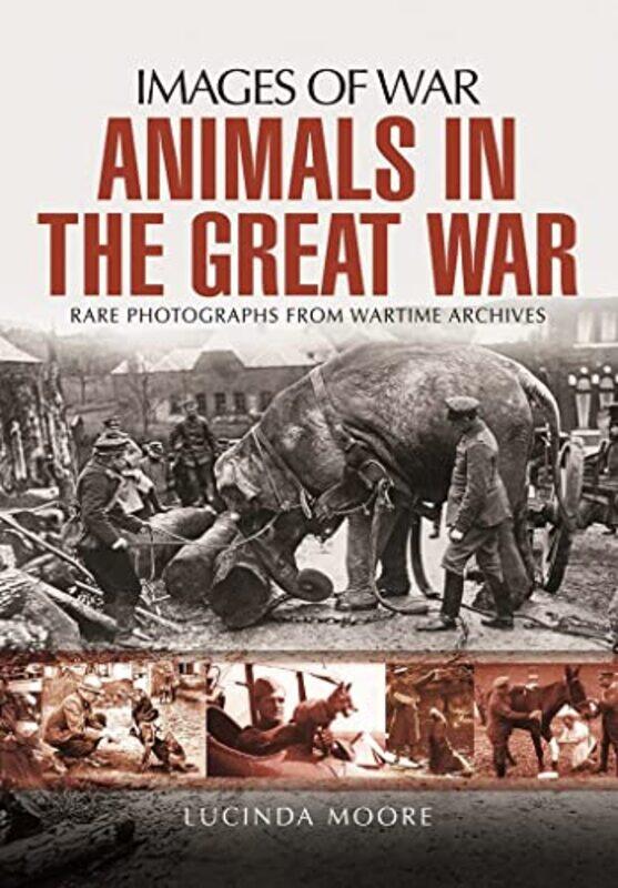 

Animals in the Great War by Lucinda Moore-Paperback