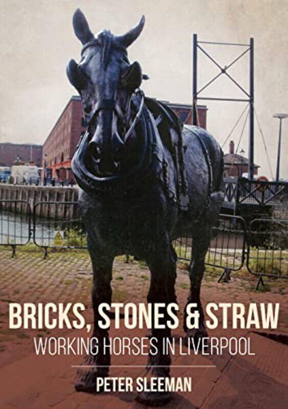 

Bricks Stones and Straw Working Horses in Liverpool by Jane E Professor University of California-Davis Sykes-Paperback