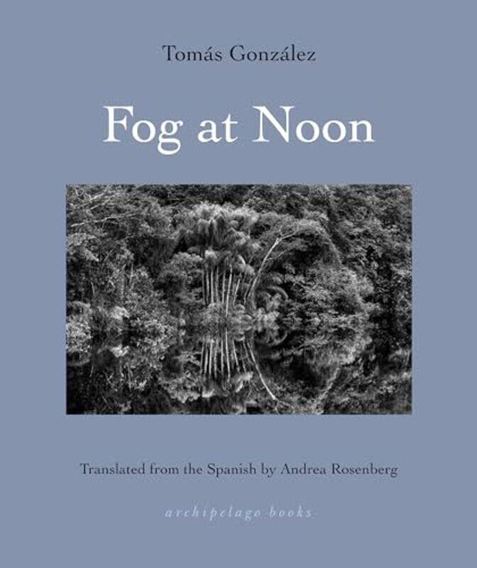 

Fog At Noon By Gonzalez Tomas - Paperback