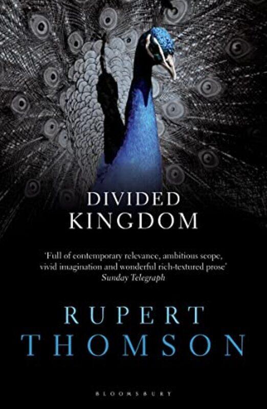 

Divided Kingdom by Rupert Thomson-Paperback