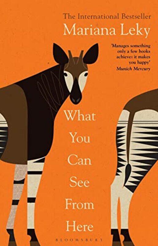 

What You Can See From Here: The International Bestseller translated by Tess Lewis,Paperback,By:Leky, Mariana