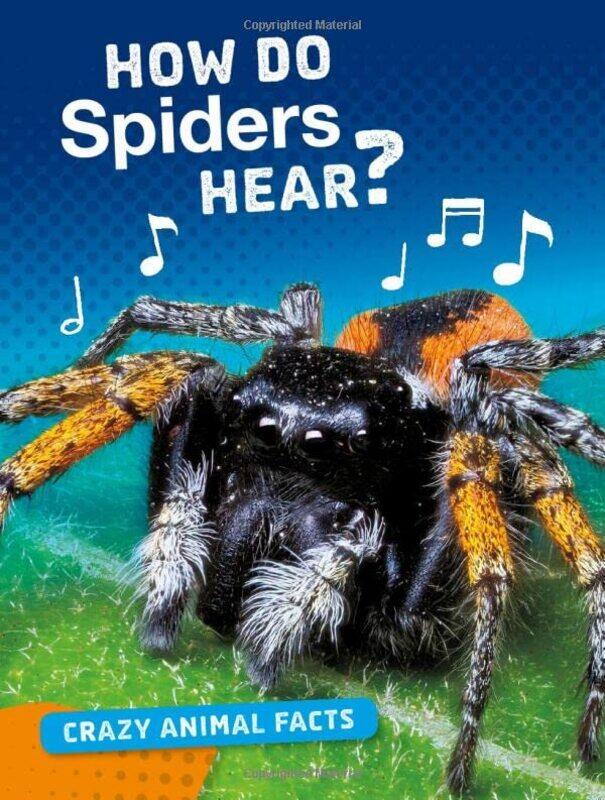 

How Do Spiders Hear by Nancy Furstinger-Paperback