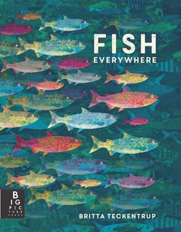 

Fish Everywhere By Teckentrup Britta - Paperback