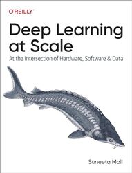 Deep Learning at Scale by Lena Durham University UK Dominelli-Paperback