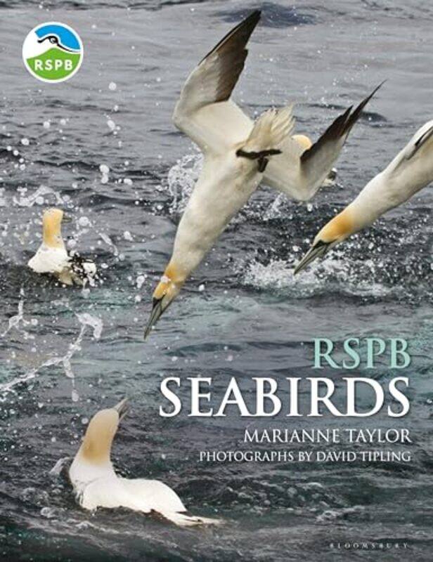 

Rspb Seabirds by Marianne Taylor-Hardcover