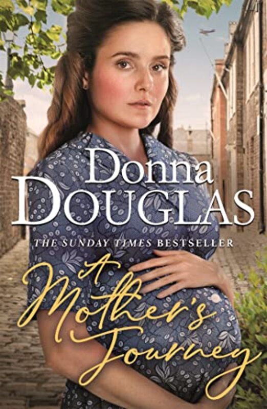 A Mothers Journey by Donna Douglas-Paperback