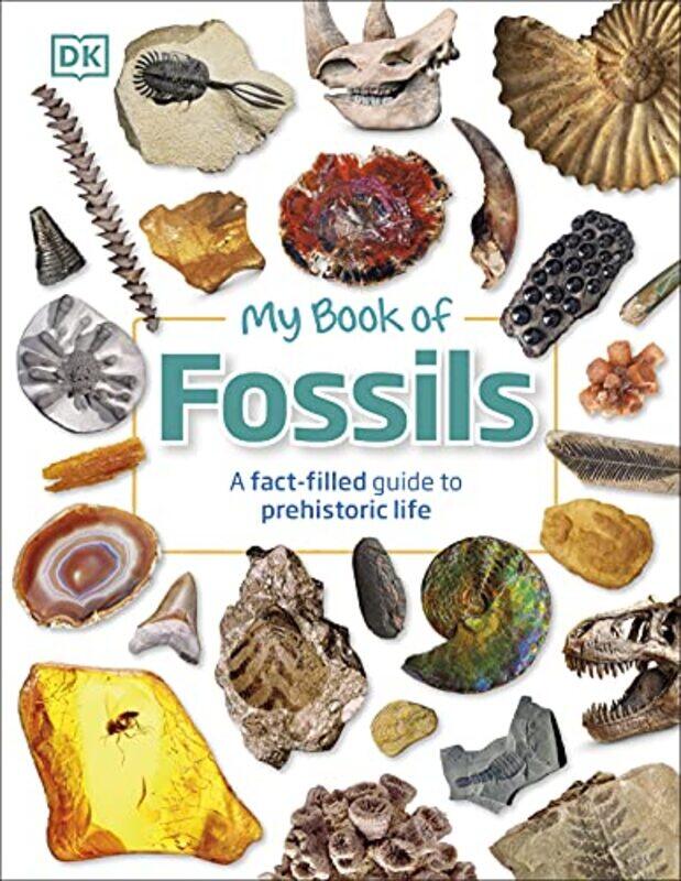 

My Book of Fossils by P D B Collins-Hardcover