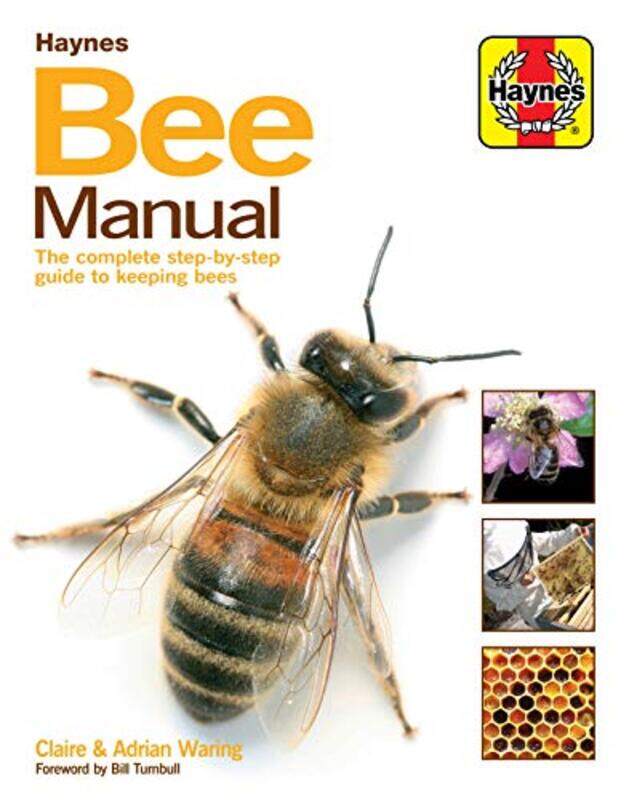 

Bee Manual by Spyridon Cnrs France University Of Strasbourg France Zafeiratos-Hardcover