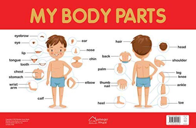 

My Body Parts Chart - Early Learning Educational Chart For Kids: Perfect For Homeschooling, Kinderga