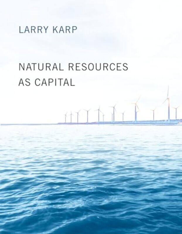 

Natural Resources As Capital by Larry Karp-Paperback