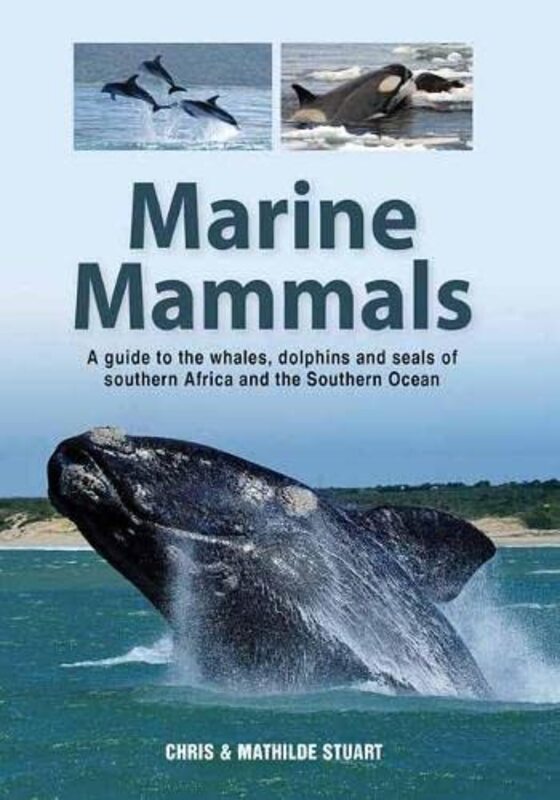 

Marine Mammals by Chris Stuart ChrisMathilde Stuart Mathilde-Paperback