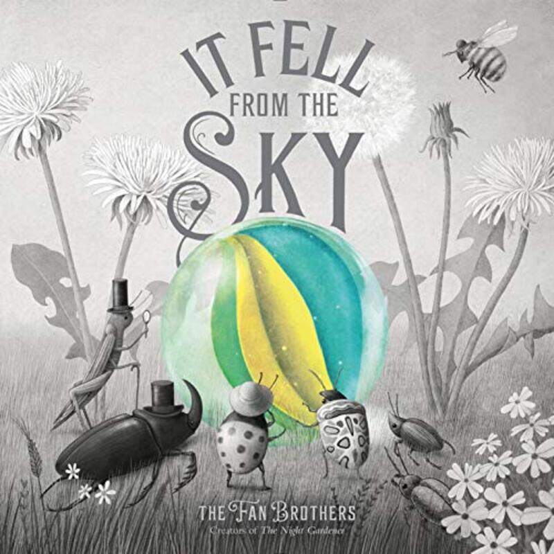 

It Fell From The Sky by Eric FanTerry Fan-Hardcover