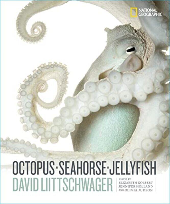 

Octopus, Seahorse, Jellyfish,Paperback,By:Liittschwager, David