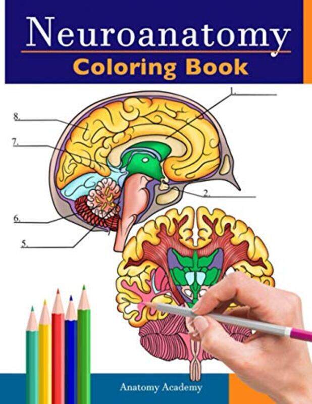 

Neuroanatomy Coloring Book: Incredibly Detailed Self-Test Human Brain Coloring Book for Neuroscience , Paperback by Academy, Anatomy