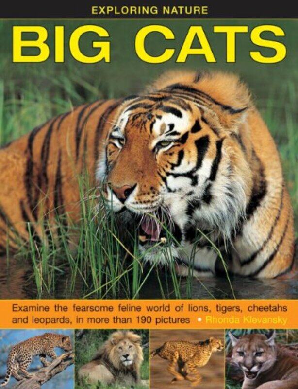

Exploring Nature Big Cats by Salvatore MarsicoAlbert Solano-Hardcover