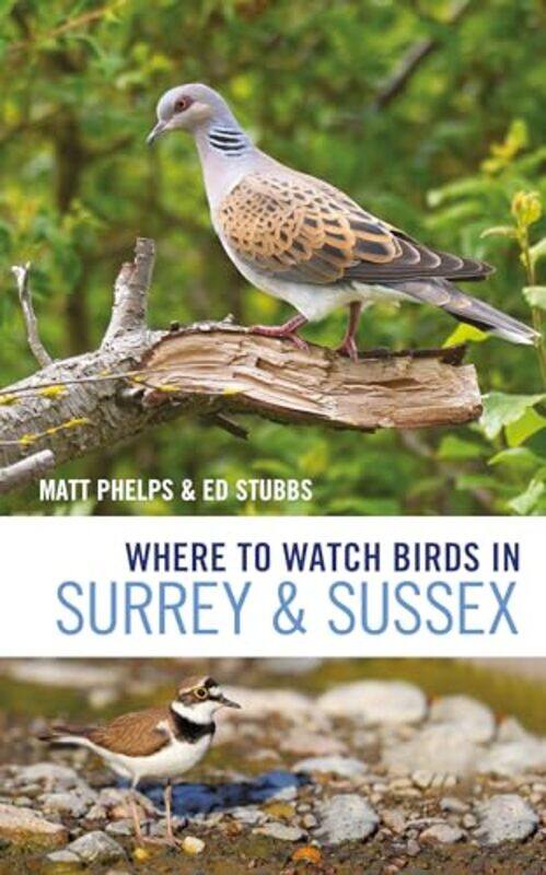 

Where To Watch Birds In Surrey And Sussex by Matthew PhelpsEd Stubbs-Paperback