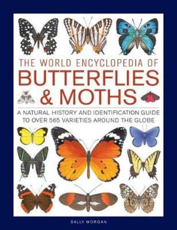 

Butterflies & Moths, The World Encyclopedia of: A natural history and identification guide to over 5,Hardcover, By:Morgan, Sally