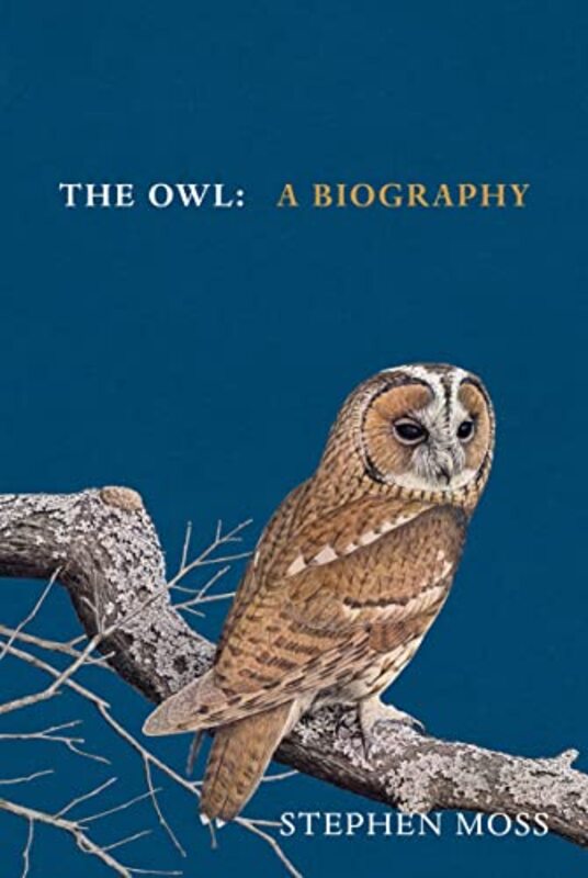 Owl by Stephen Moss Hardcover