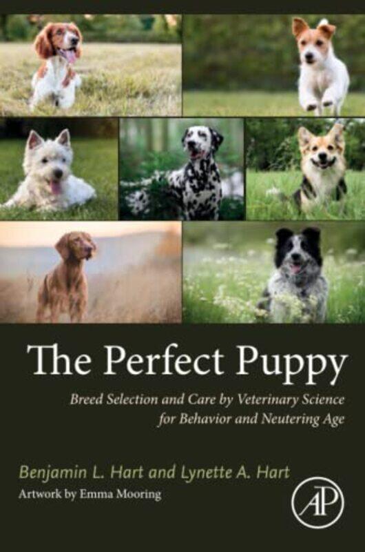 

The Perfect Puppy by Chloe Starr-Paperback