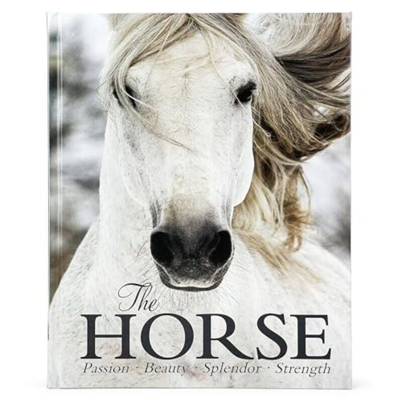 

Horse By Walker Elaine - Hardcover